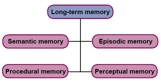 Scheme: Long-term memory can be divided into Semantic memory, Episodic memory, Procedural memory and Perceptual memory.