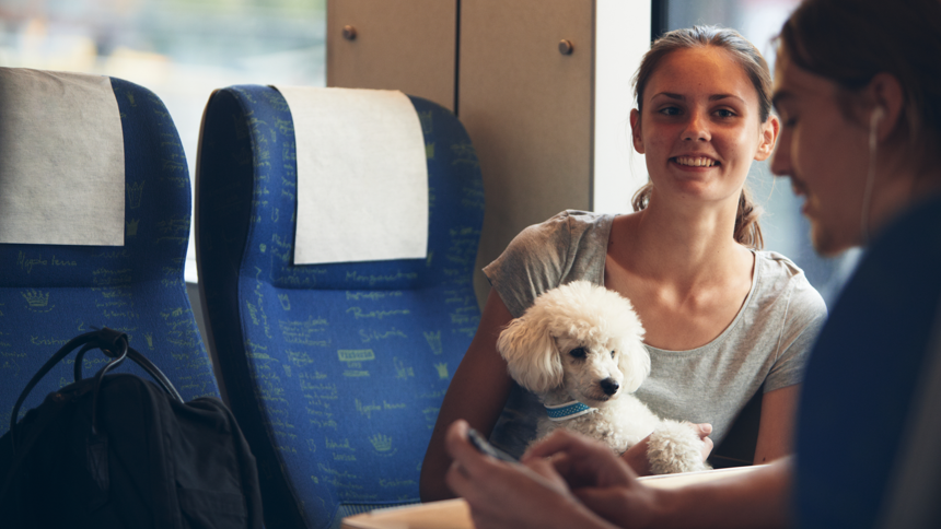 Två personer och en liten hund på tåg